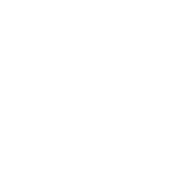 Flexnest Social Icon